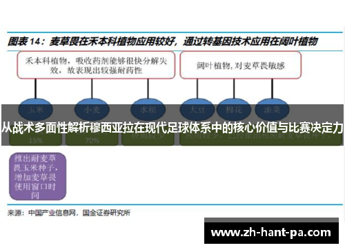 从战术多面性解析穆西亚拉在现代足球体系中的核心价值与比赛决定力 从战术多面性解析穆西亚拉在现代足球体系中的核心价值与比赛决定力