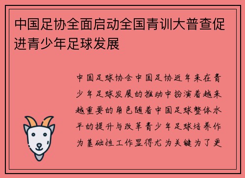 中国足协全面启动全国青训大普查促进青少年足球发展 中国足协全面启动全国青训大普查促进青少年足球发展